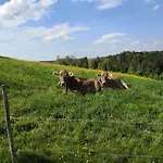Jaegerstueble Altusried