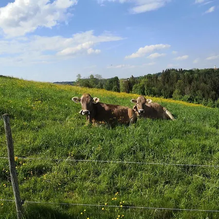 Jaegerstueble Altusried